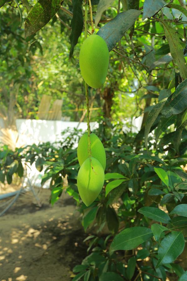 Marari Coastal Dreams Home Stay Alappuzha Eksteriør billede