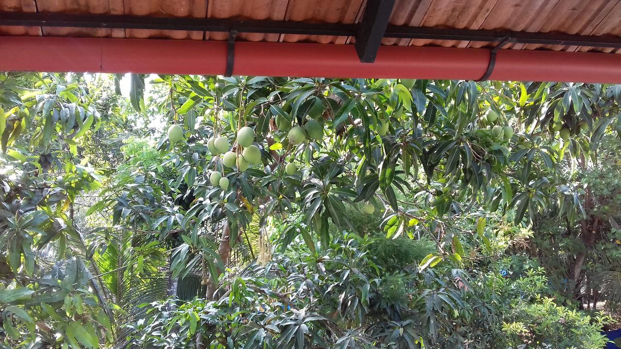 Marari Coastal Dreams Home Stay Alappuzha Eksteriør billede