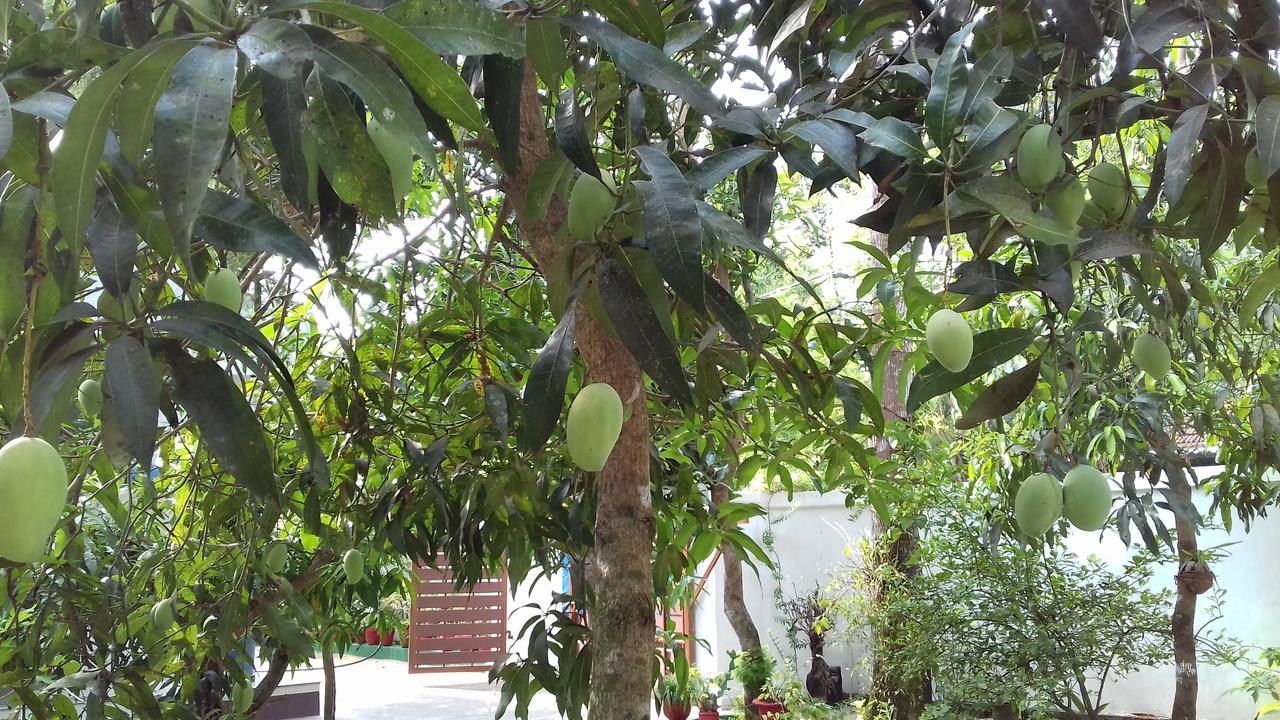 Marari Coastal Dreams Home Stay Alappuzha Eksteriør billede