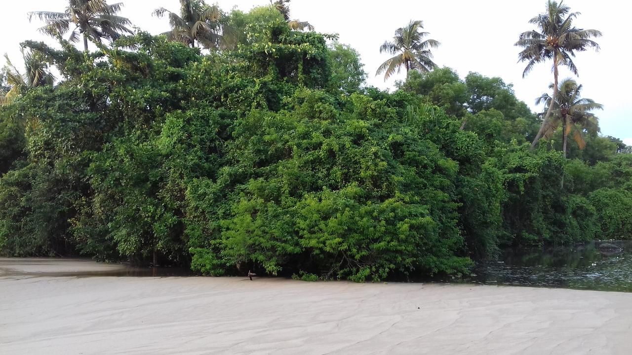 Marari Coastal Dreams Home Stay Alappuzha Eksteriør billede