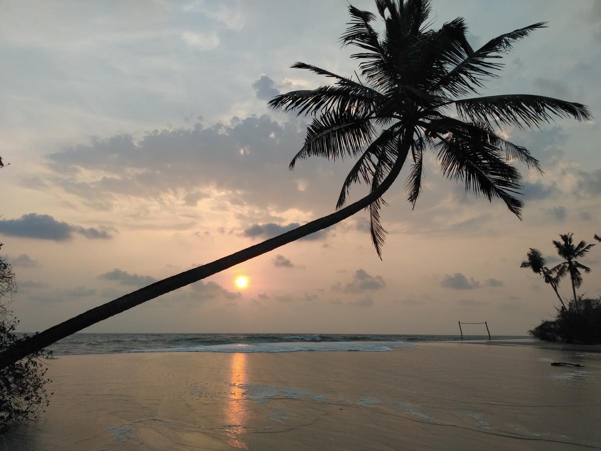 Marari Coastal Dreams Home Stay Alappuzha Eksteriør billede